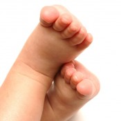 parlons petons (pour changer)