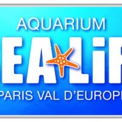 j’ai testé : l’aquarium Sealife